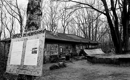 Entretien bd, skate et HxC img1