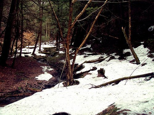 Back to White River Junction img7